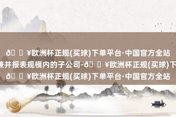 🔥欧洲杯正规(买球)下单平台·中国官方全站双鸭山水泥成为公司兼并报表规模内的子公司-🔥欧洲杯正规(买球)下单平台·中国官方全站