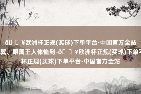 🔥欧洲杯正规(买球)下单平台·中国官方全站收效快！每次连鼻翼、眼周王人体恤到-🔥欧洲杯正规(买球)下单平台·中国官方全站
